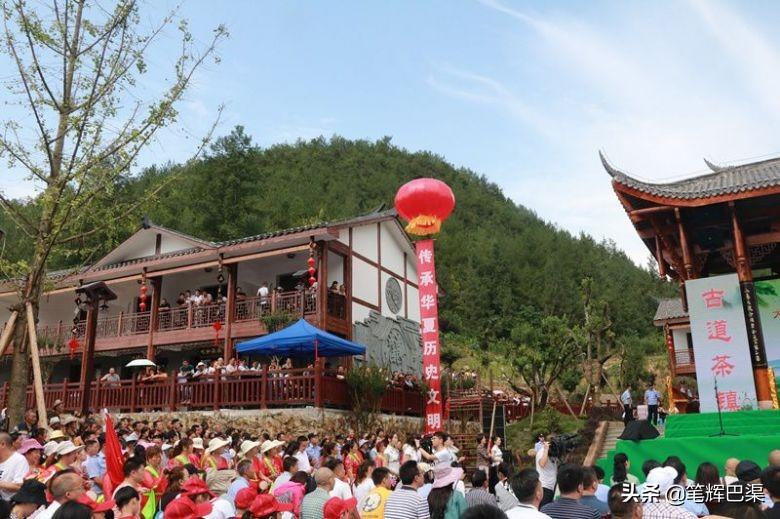 万源富硒茶代言人是哪个（万源富硒茶多少钱一斤）-硒宝网