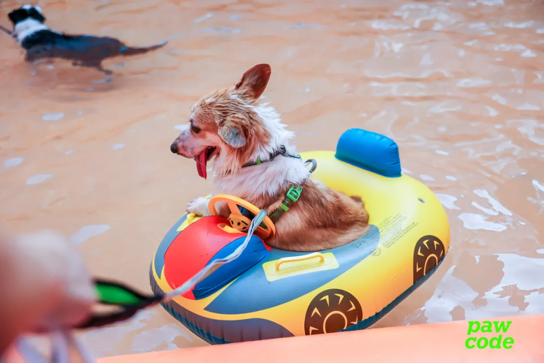 恩施富硒龙井茶一斤多钱(恩施富硒茶多少钱)-硒宝网