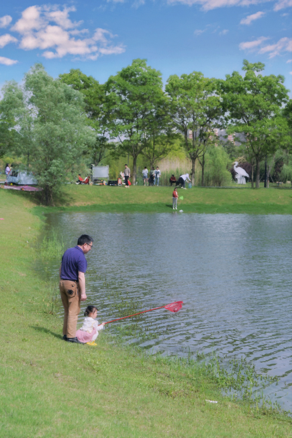 恩施富硒龙井茶一斤多钱(恩施富硒茶多少钱)-硒宝网