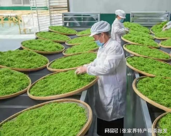 500克张家界富硒莓茶（张家界莓茶多少钱一盒）-硒宝网