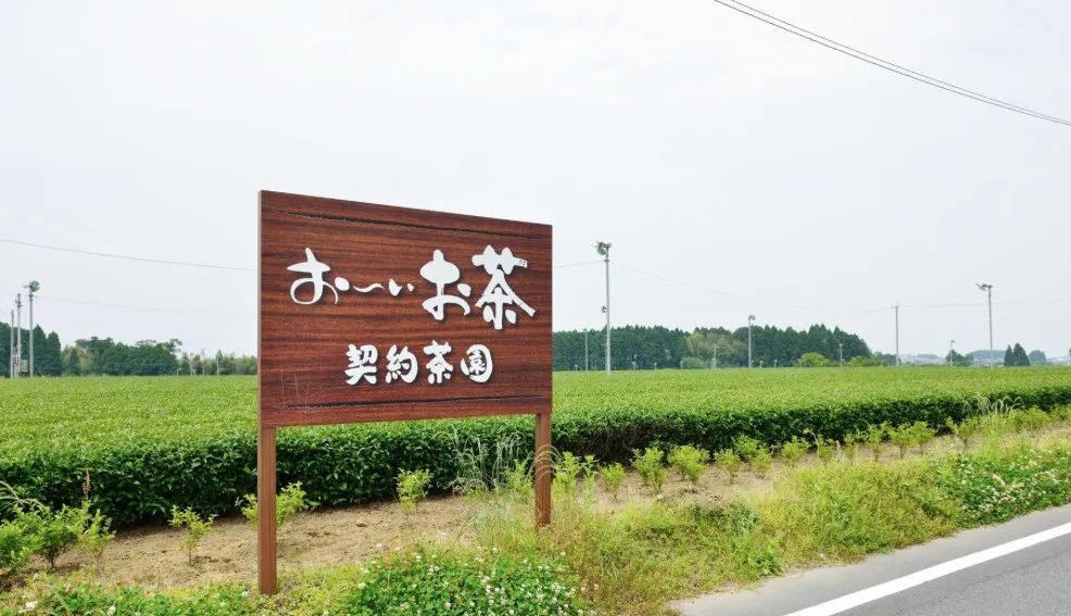 富硒茶一天能泡多少克呢(富硒茶可以冷泡吗)-硒宝网