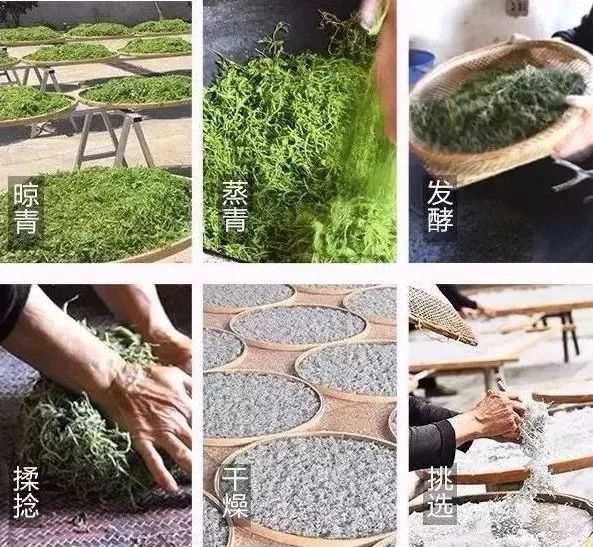 富硒龙须藤茶多少钱一斤(富硒滕茶的功效)-硒宝网