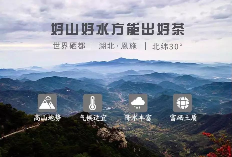 富硒龙须藤茶多少钱一斤(富硒滕茶的功效)-硒宝网