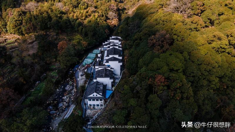 富硒仙寓山野茶多钱一盒（仙寓山野生茶）-硒宝网