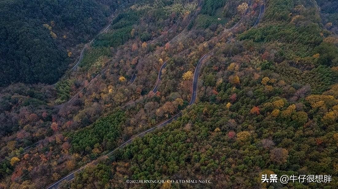 富硒仙寓山野茶多钱一盒（仙寓山野生茶）-硒宝网