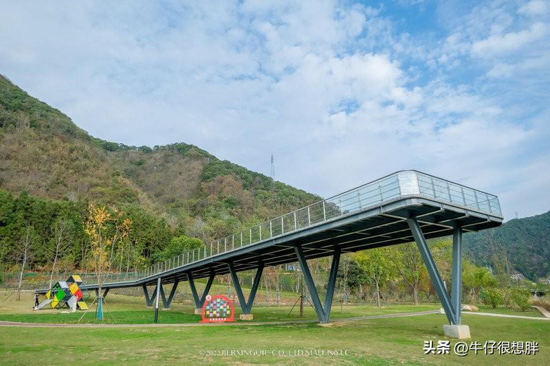 富硒仙寓山野茶多钱一盒（仙寓山野生茶）-硒宝网