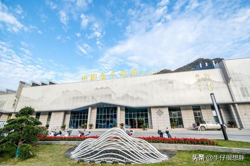 富硒仙寓山野茶多钱一盒（仙寓山野生茶）-硒宝网