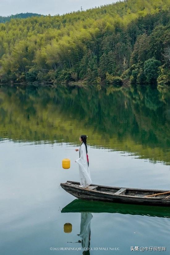 富硒仙寓山野茶多钱一盒（仙寓山野生茶）-硒宝网