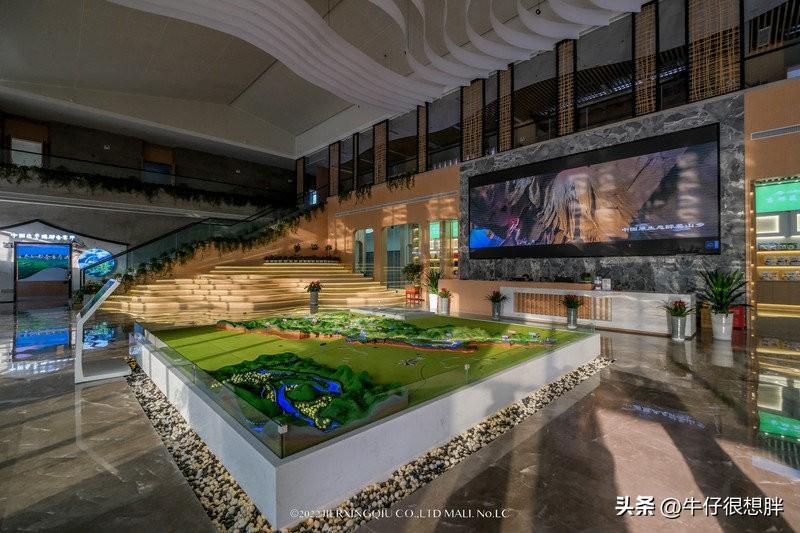 富硒仙寓山野茶多钱一盒（仙寓山野生茶）-硒宝网