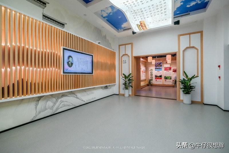 富硒仙寓山野茶多钱一盒（仙寓山野生茶）-硒宝网