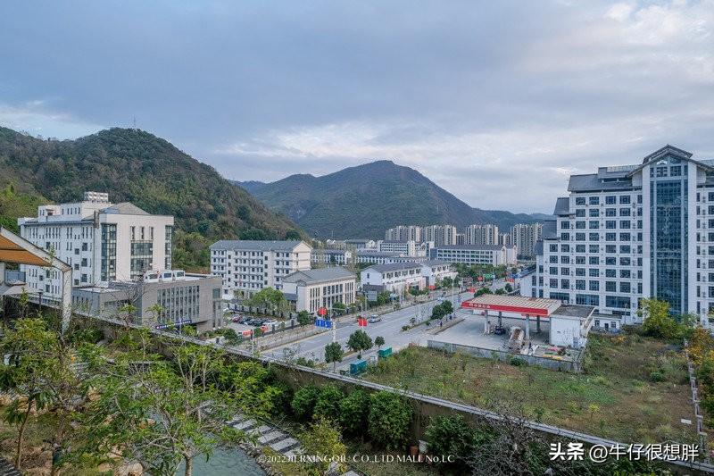 富硒仙寓山野茶多钱一盒（仙寓山野生茶）-硒宝网