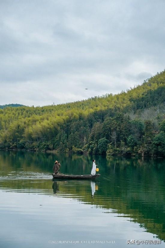 富硒仙寓山野茶多钱一盒（仙寓山野生茶）-硒宝网