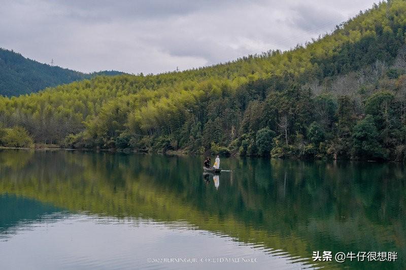 富硒仙寓山野茶多钱一盒（仙寓山野生茶）-硒宝网