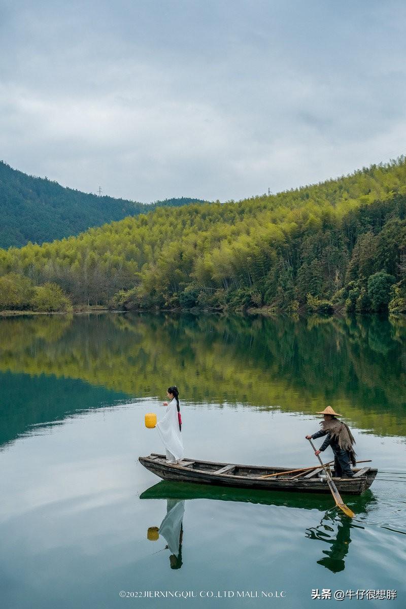 富硒仙寓山野茶多钱一盒（仙寓山野生茶）-硒宝网
