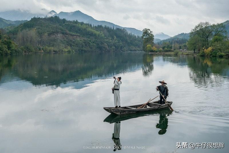 富硒仙寓山野茶多钱一盒（仙寓山野生茶）-硒宝网