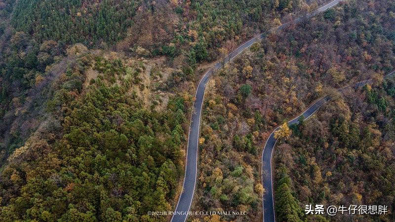 富硒仙寓山野茶多钱一盒（仙寓山野生茶）-硒宝网