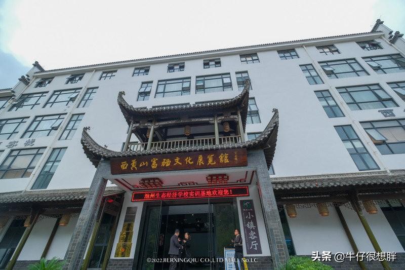 富硒仙寓山野茶多钱一盒（仙寓山野生茶）-硒宝网