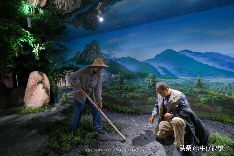 富硒仙寓山野茶多钱一盒（仙寓山野生茶）-硒宝网