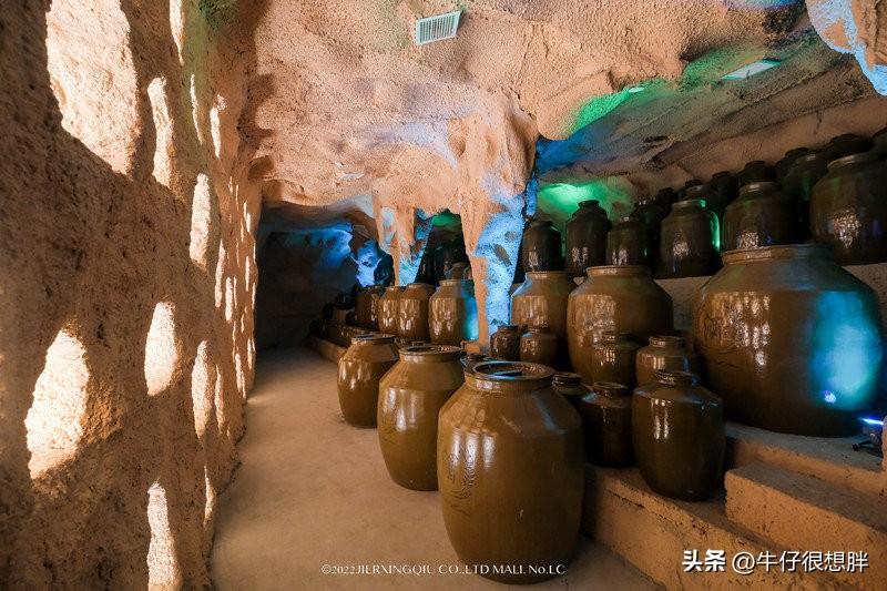 富硒仙寓山野茶多钱一盒（仙寓山野生茶）-硒宝网