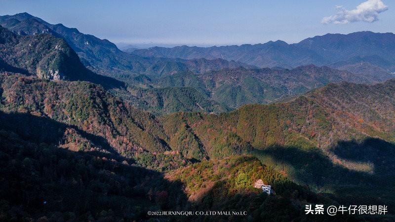 富硒仙寓山野茶多钱一盒（仙寓山野生茶）-硒宝网