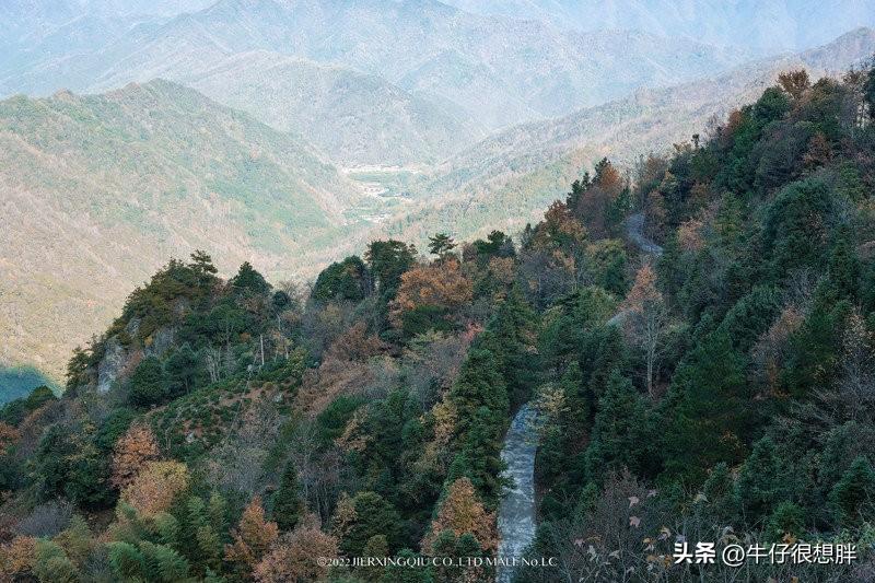 富硒仙寓山野茶多钱一盒（仙寓山野生茶）-硒宝网