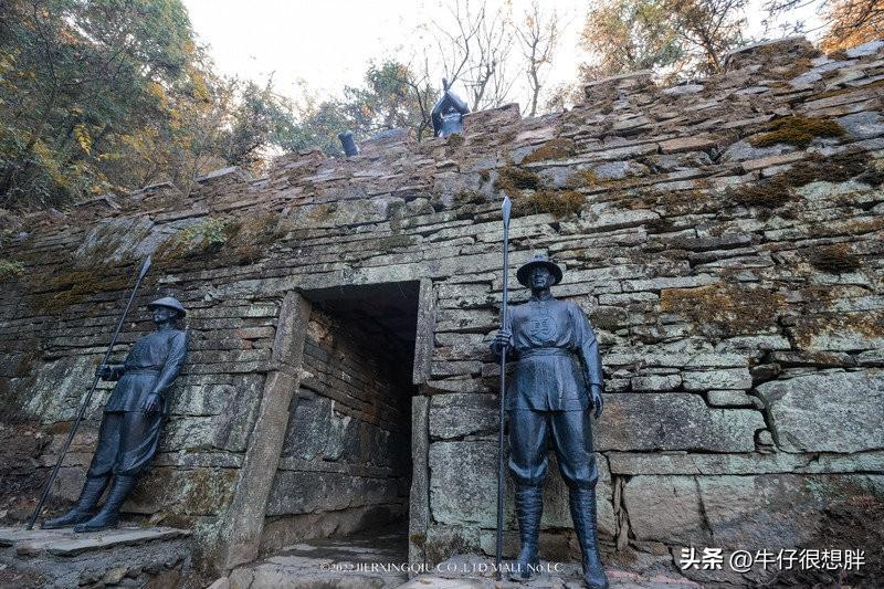富硒仙寓山野茶多钱一盒（仙寓山野生茶）-硒宝网