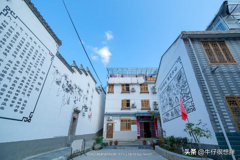 富硒仙寓山野茶多钱一盒（仙寓山野生茶）-硒宝网