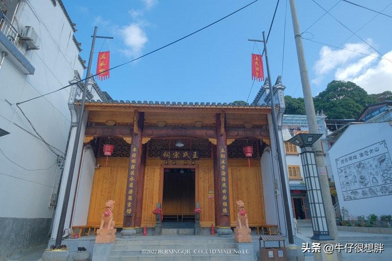 富硒仙寓山野茶多钱一盒（仙寓山野生茶）-硒宝网