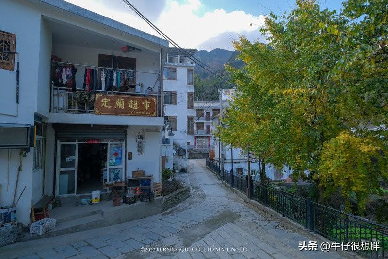 富硒仙寓山野茶多钱一盒（仙寓山野生茶）-硒宝网