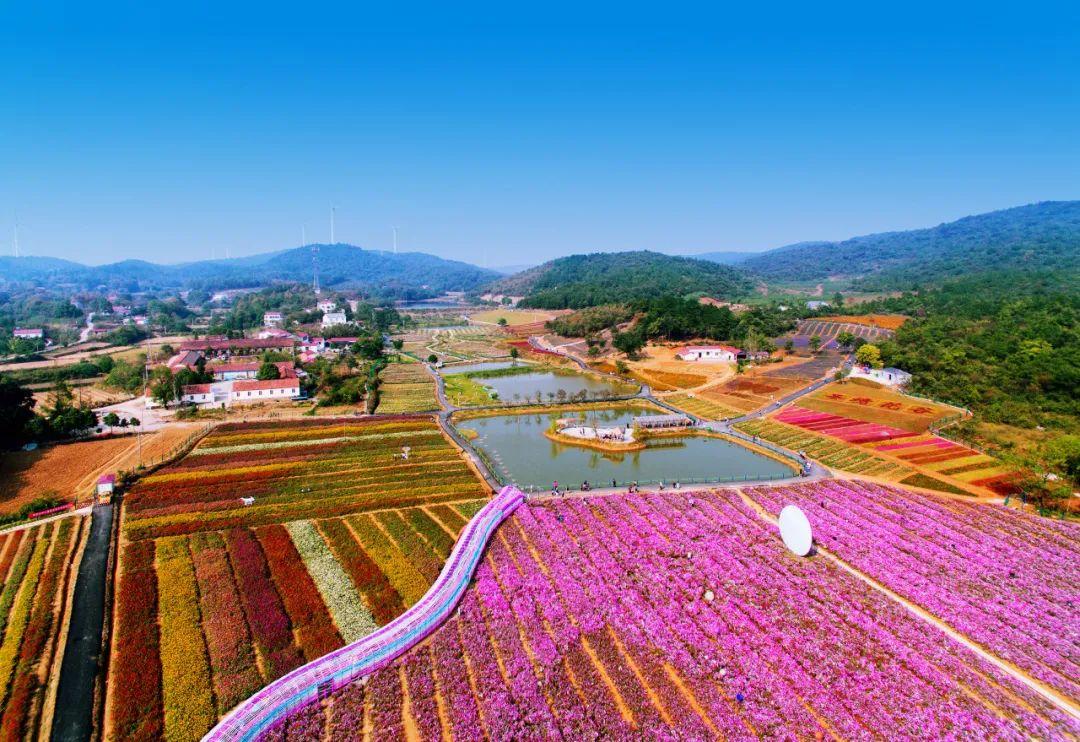巴东野三关是富硒茶区吗(巴东富硒神茶)-硒宝网