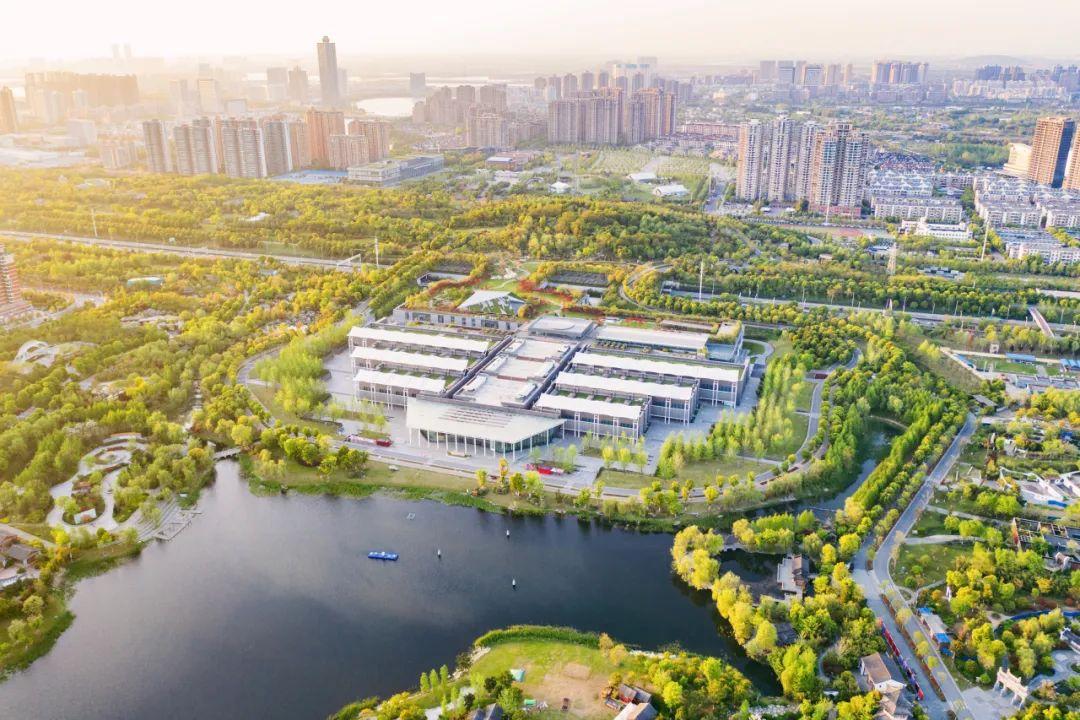 巴东野三关是富硒茶区吗(巴东富硒神茶)-硒宝网