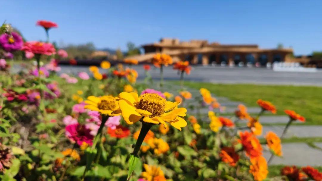 巴东野三关是富硒茶区吗(巴东富硒神茶)-硒宝网