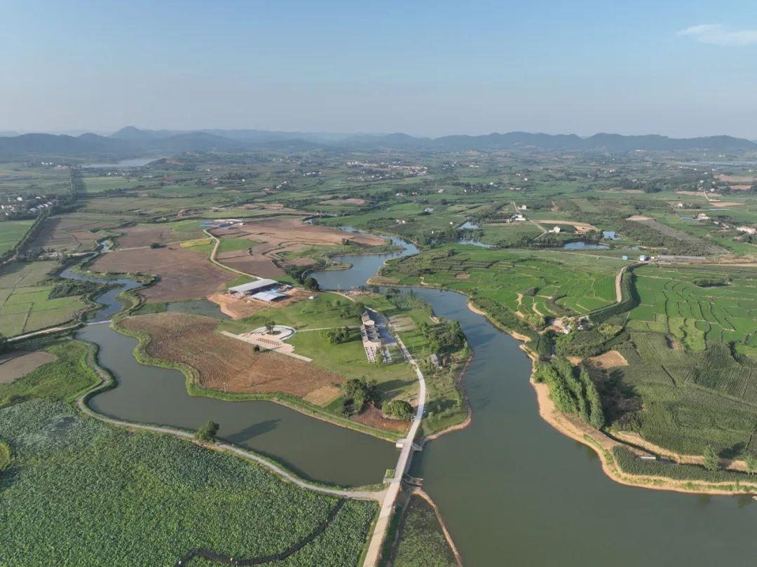 巴东野三关是富硒茶区吗(巴东富硒神茶)-硒宝网