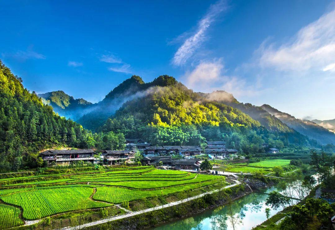 巴东野三关是富硒茶区吗(巴东富硒神茶)-硒宝网