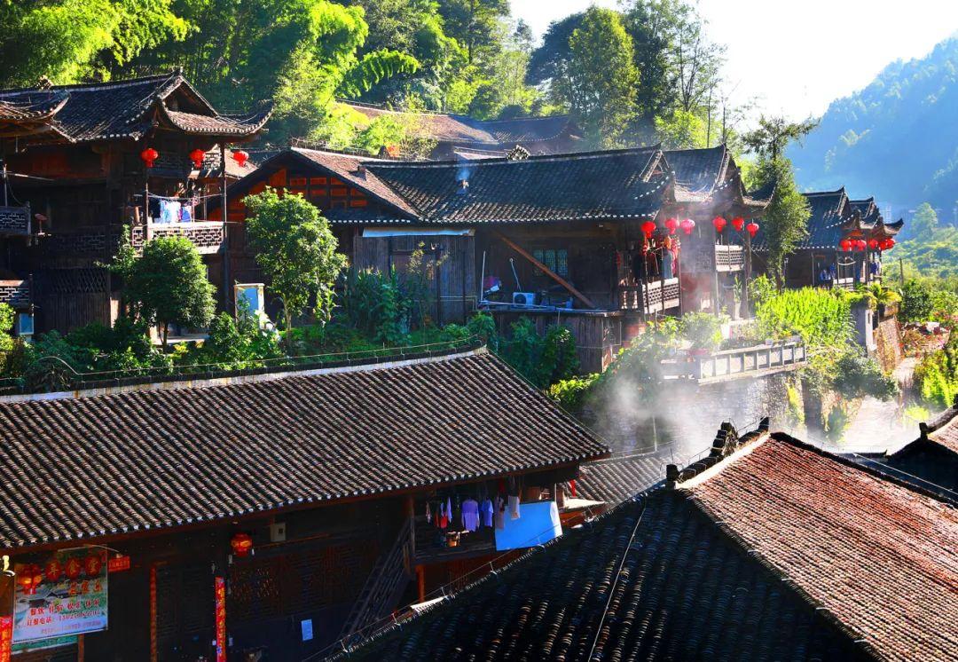 巴东野三关是富硒茶区吗(巴东富硒神茶)-硒宝网