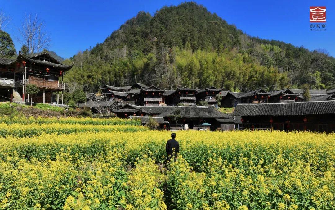 巴东野三关是富硒茶区吗(巴东富硒神茶)-硒宝网