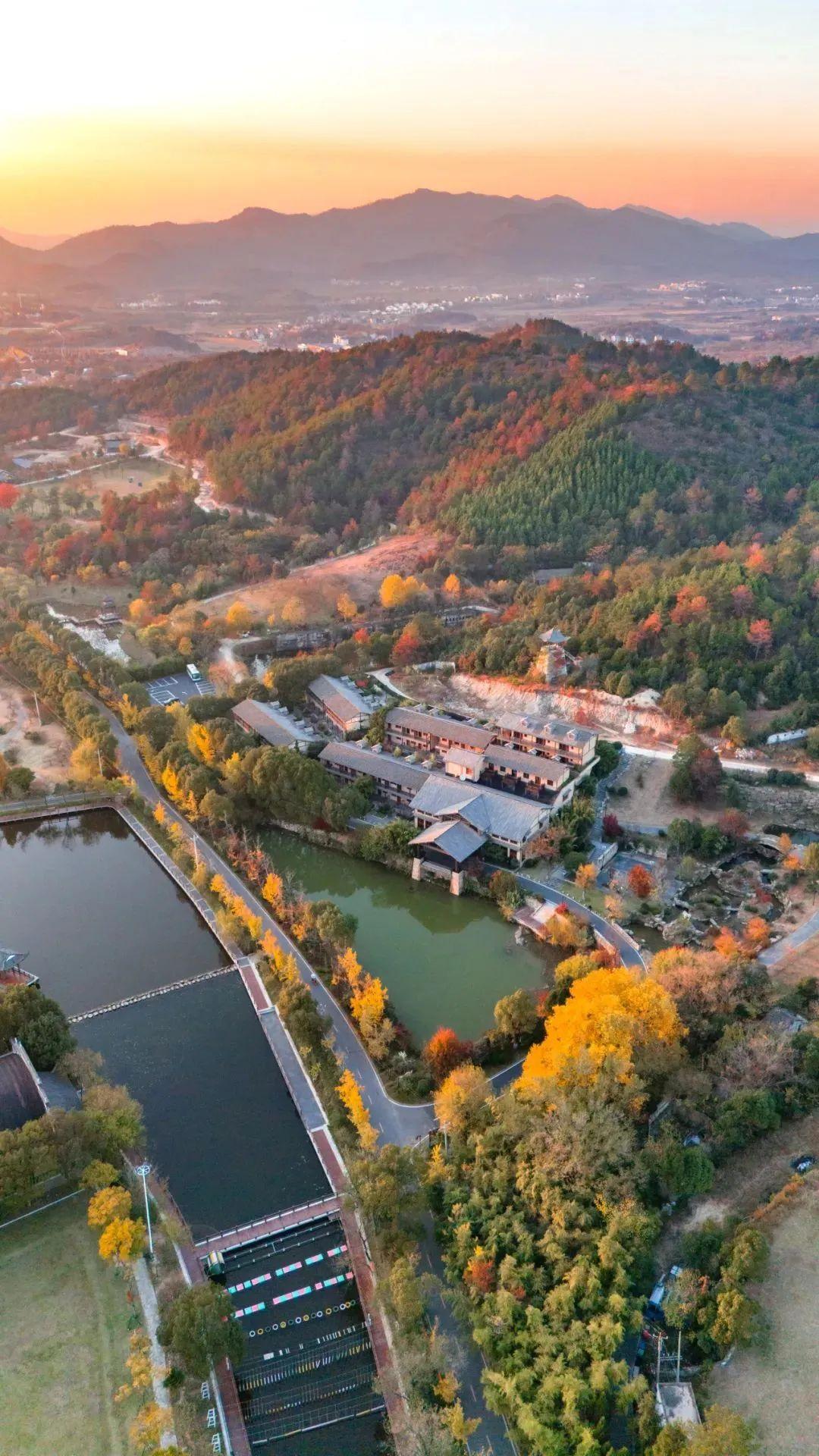 巴东野三关是富硒茶区吗(巴东富硒神茶)-硒宝网