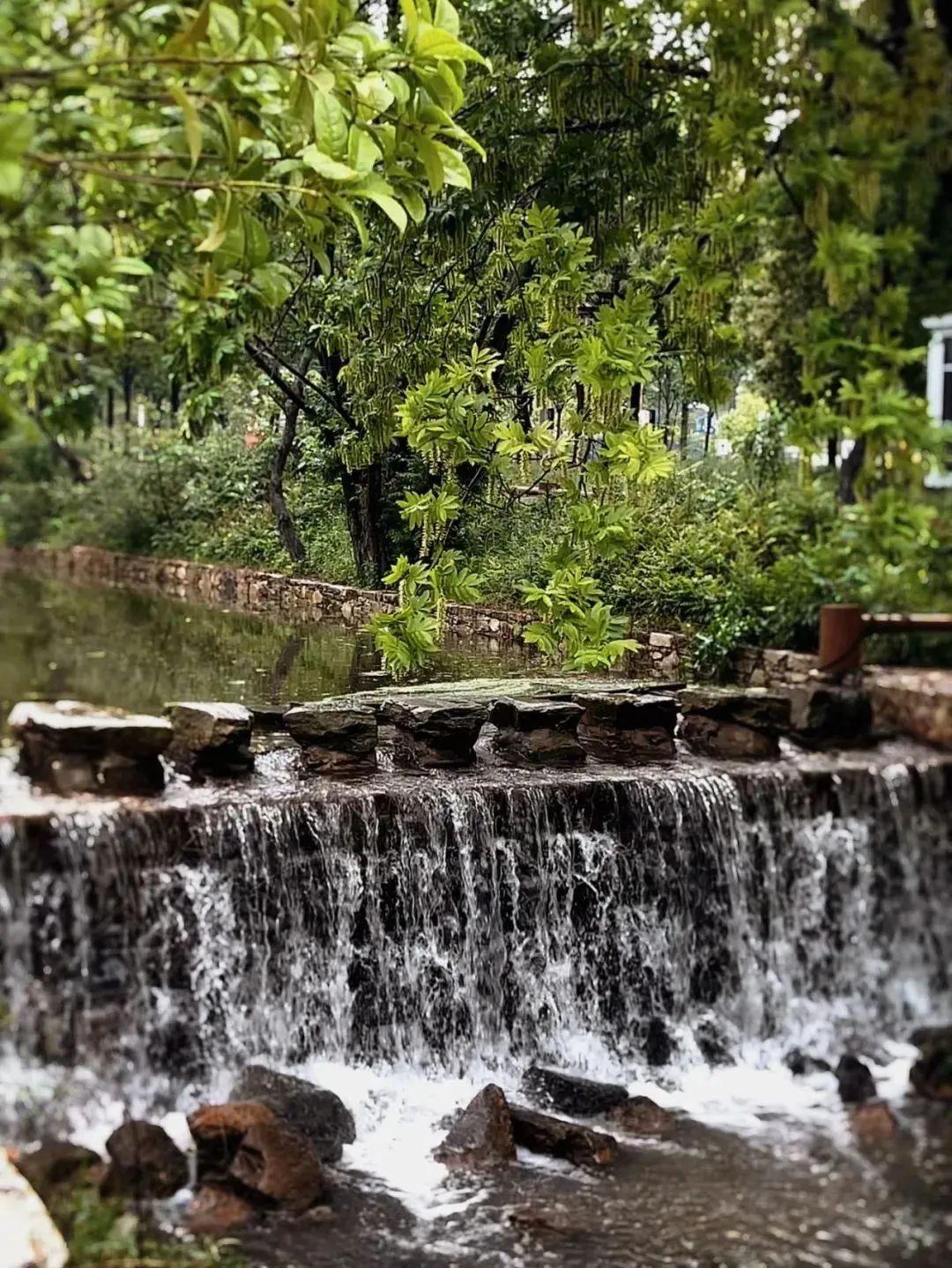 巴东野三关是富硒茶区吗(巴东富硒神茶)-硒宝网