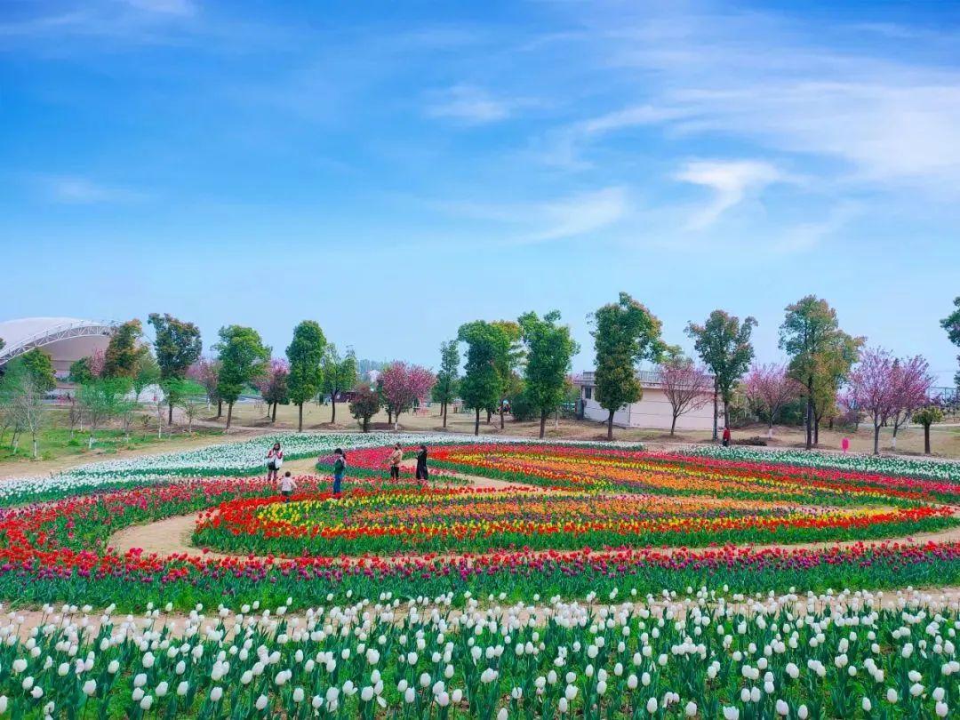 巴东野三关是富硒茶区吗(巴东富硒神茶)-硒宝网