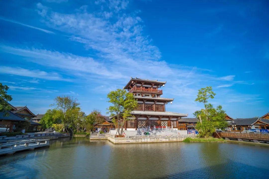 巴东野三关是富硒茶区吗(巴东富硒神茶)-硒宝网