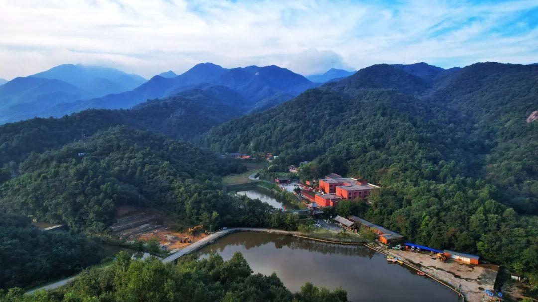 巴东野三关是富硒茶区吗(巴东富硒神茶)-硒宝网