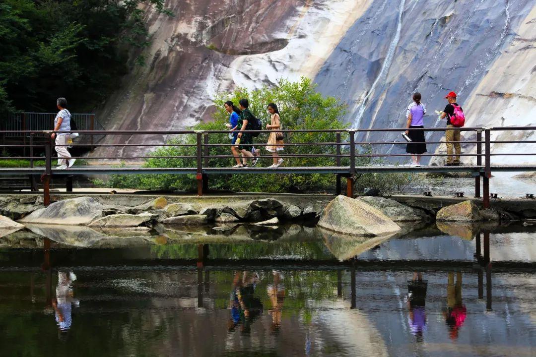 巴东野三关是富硒茶区吗(巴东富硒神茶)-硒宝网