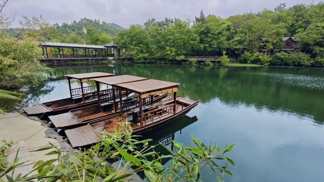 巴东野三关是富硒茶区吗(巴东富硒神茶)-硒宝网