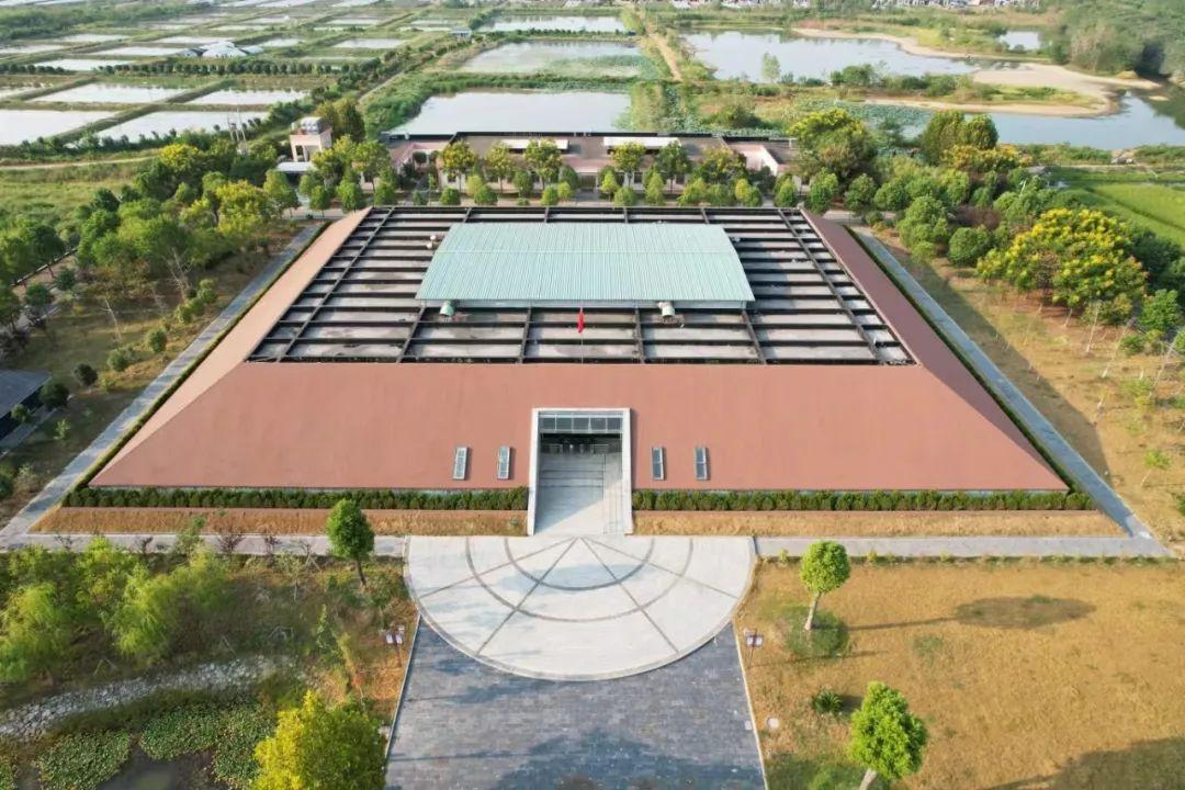 巴东野三关是富硒茶区吗(巴东富硒神茶)-硒宝网