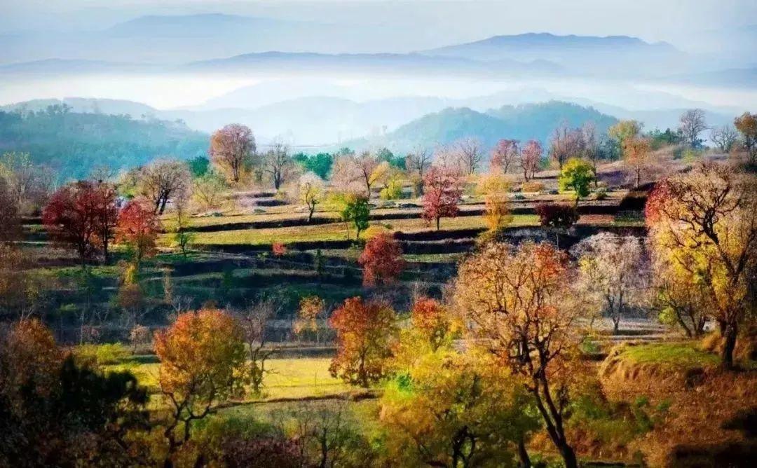 巴东野三关是富硒茶区吗(巴东富硒神茶)-硒宝网