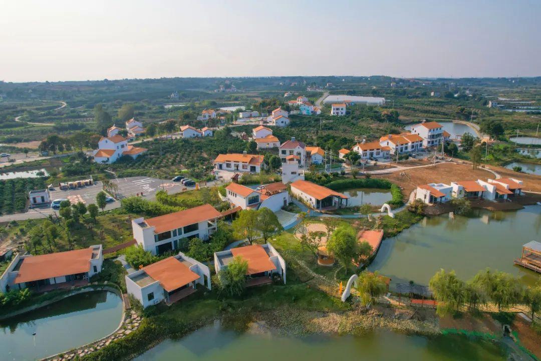 巴东野三关是富硒茶区吗(巴东富硒神茶)-硒宝网