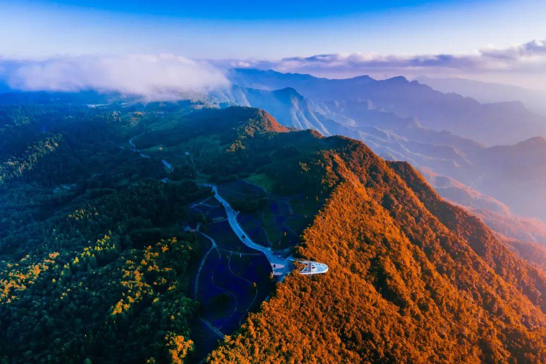 巴东野三关是富硒茶区吗(巴东富硒神茶)-硒宝网