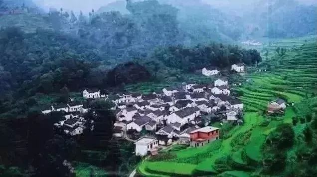 四大富硒茶乡是哪里产的(富硒茶是哪儿的)-硒宝网