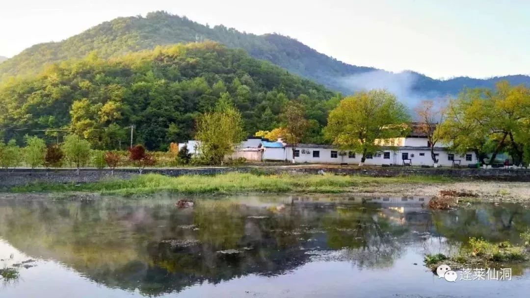 四大富硒茶乡是哪里产的(富硒茶是哪儿的)-硒宝网