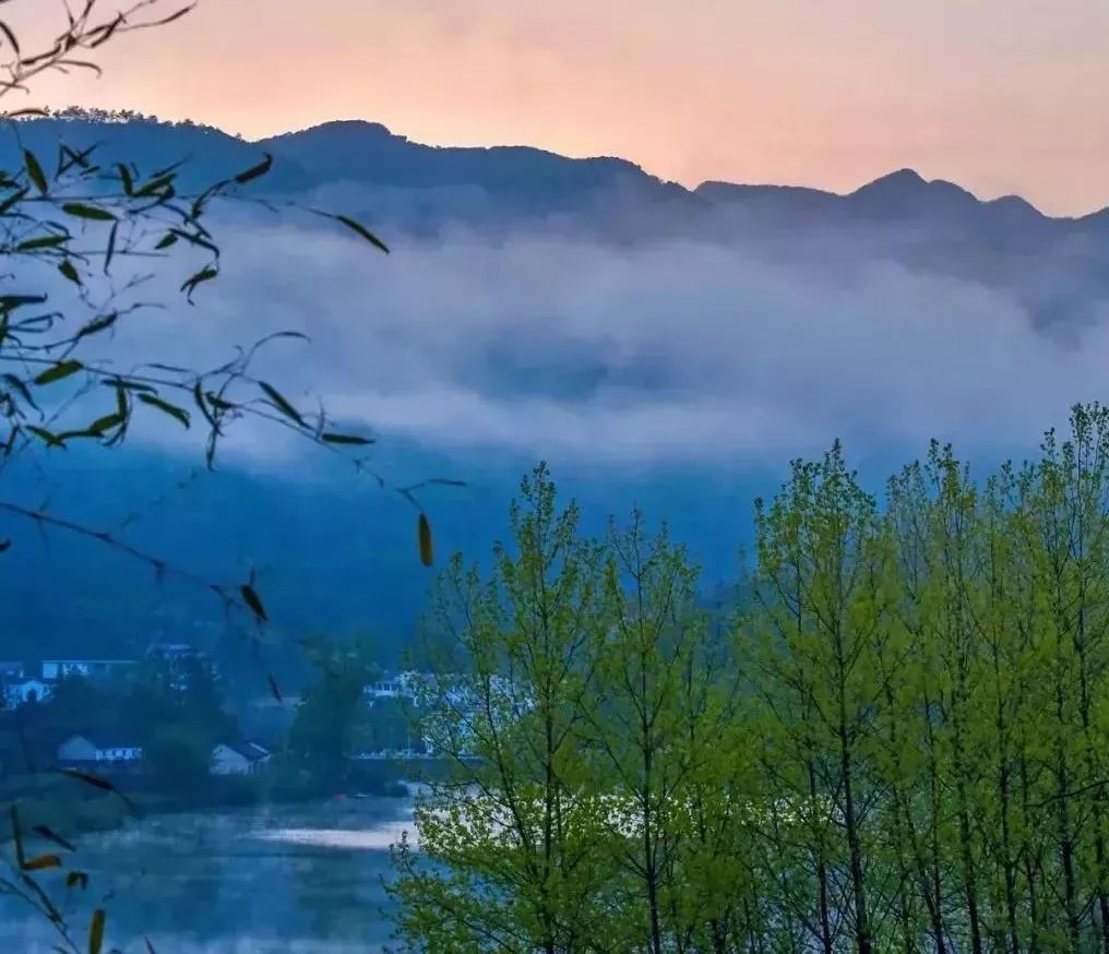 四大富硒茶乡是哪里产的(富硒茶是哪儿的)-硒宝网